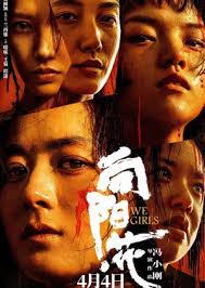 向阳·花(全集)