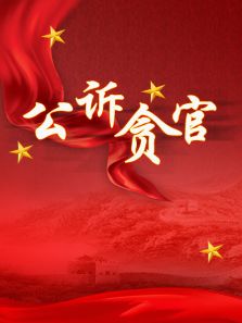 公诉贪官第15集