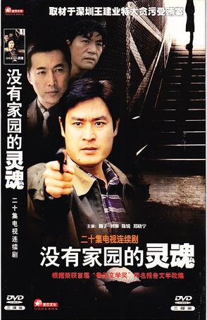 没有家园的灵魂第04集