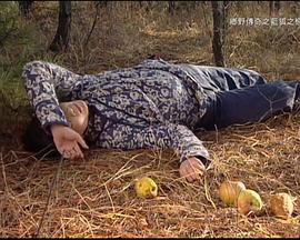 蓝狐之恋第05集