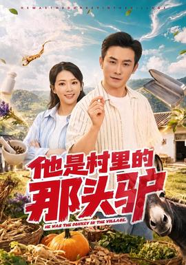 他是村里的那头驴(全集)